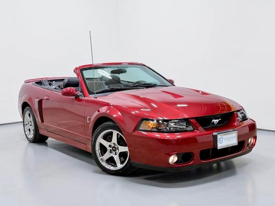 Used 2004 Ford Mustang Cobra RWD image 7