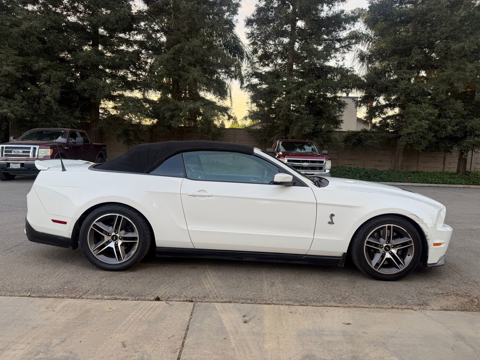 Used 2010 Ford Mustang Shelby GT500 image 6