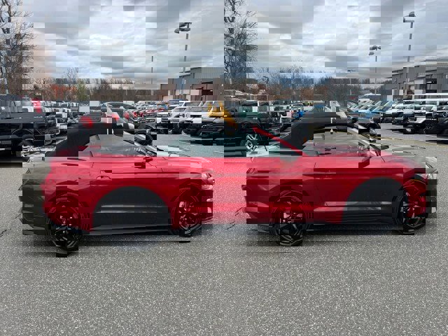 Certified 2023 Ford Mustang Premium w/ Equipment Group 201A RWD image 6