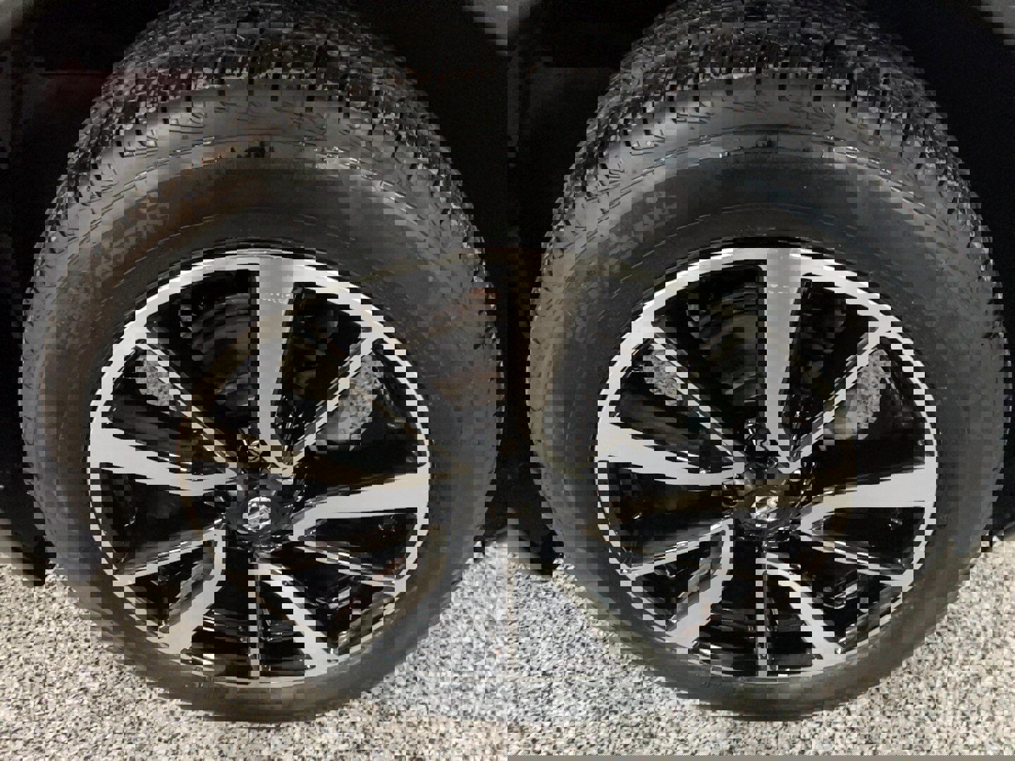 Used 2019 Nissan Rogue SL w/ Premium Package image 5