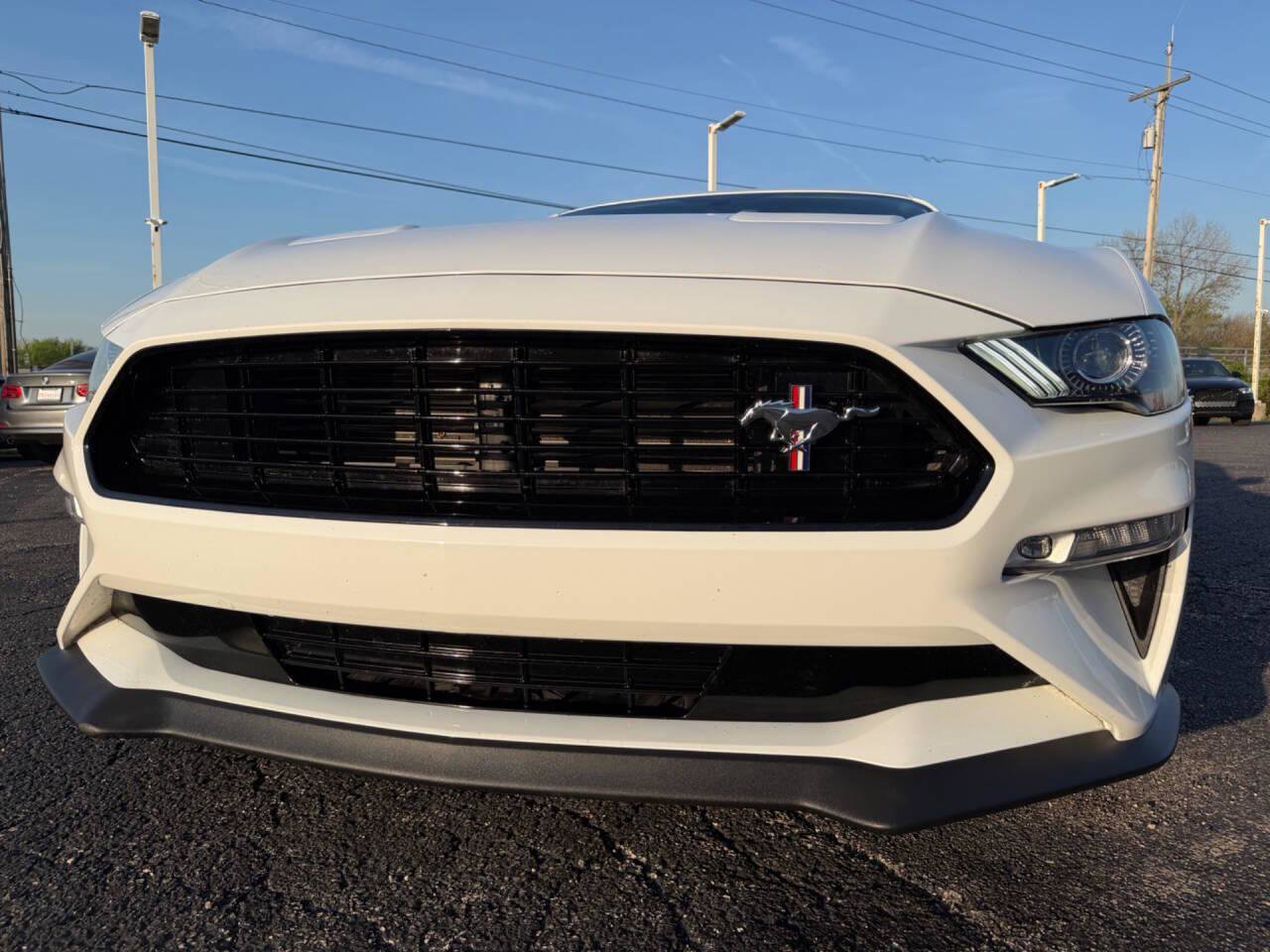Used 2019 Ford Mustang GT Premium w/ Equipment Group 401A RWD image 19