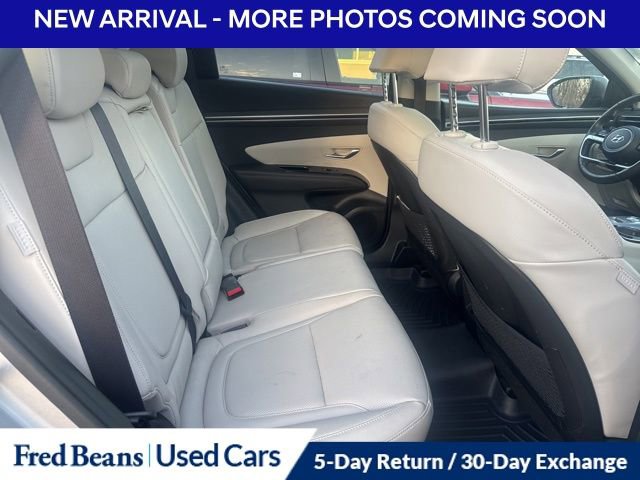 Used 2024 Hyundai Tucson Limited image 8