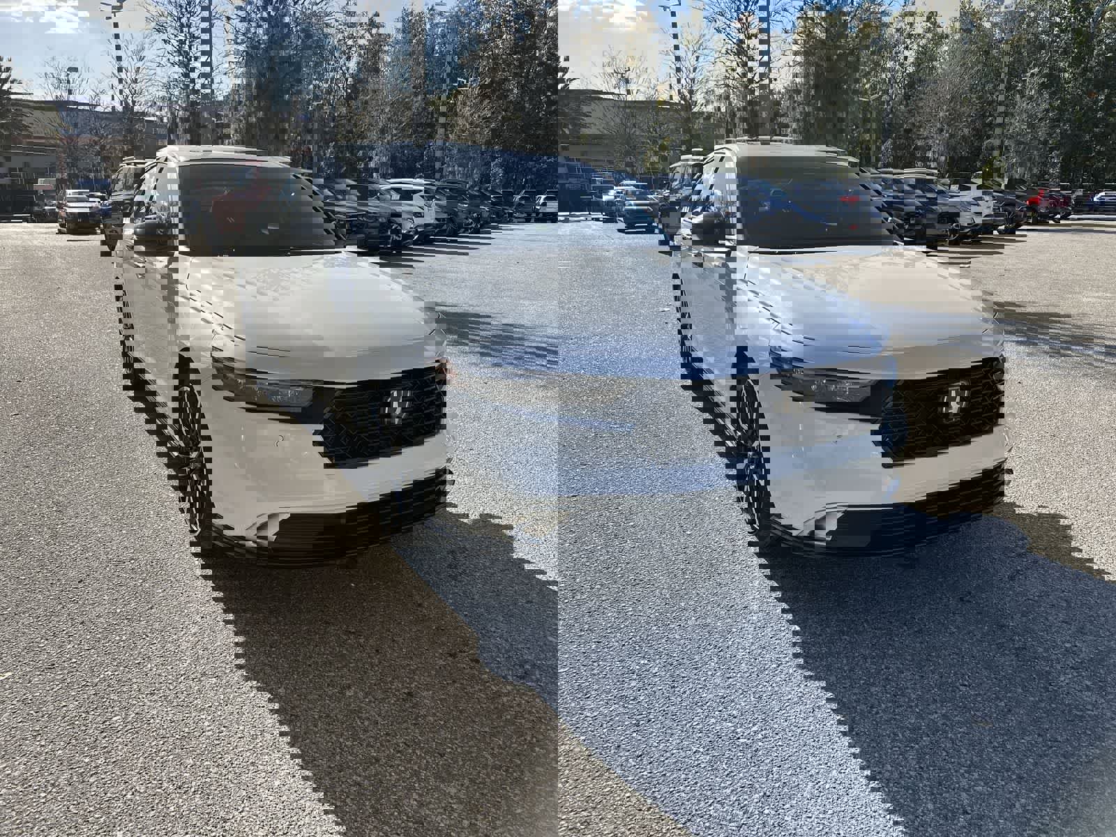 Used 2024 Honda Accord Touring image 8