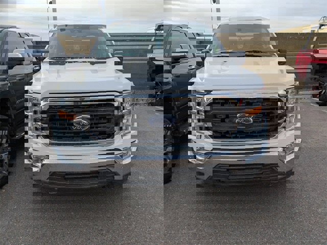 Used 2021 Ford F150 XLT w/ Equipment Group 301A Mid image 6