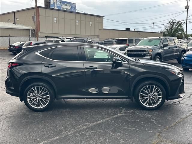 Used 2025 Lexus NX 350 AWD w/ Cold Area Package image 14