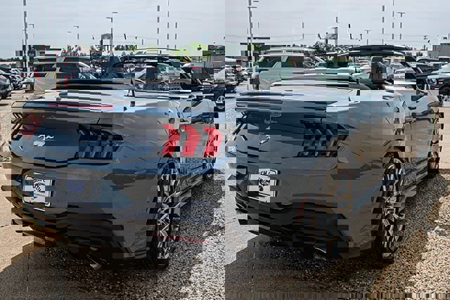 Used 2024 Ford Mustang Premium image 4