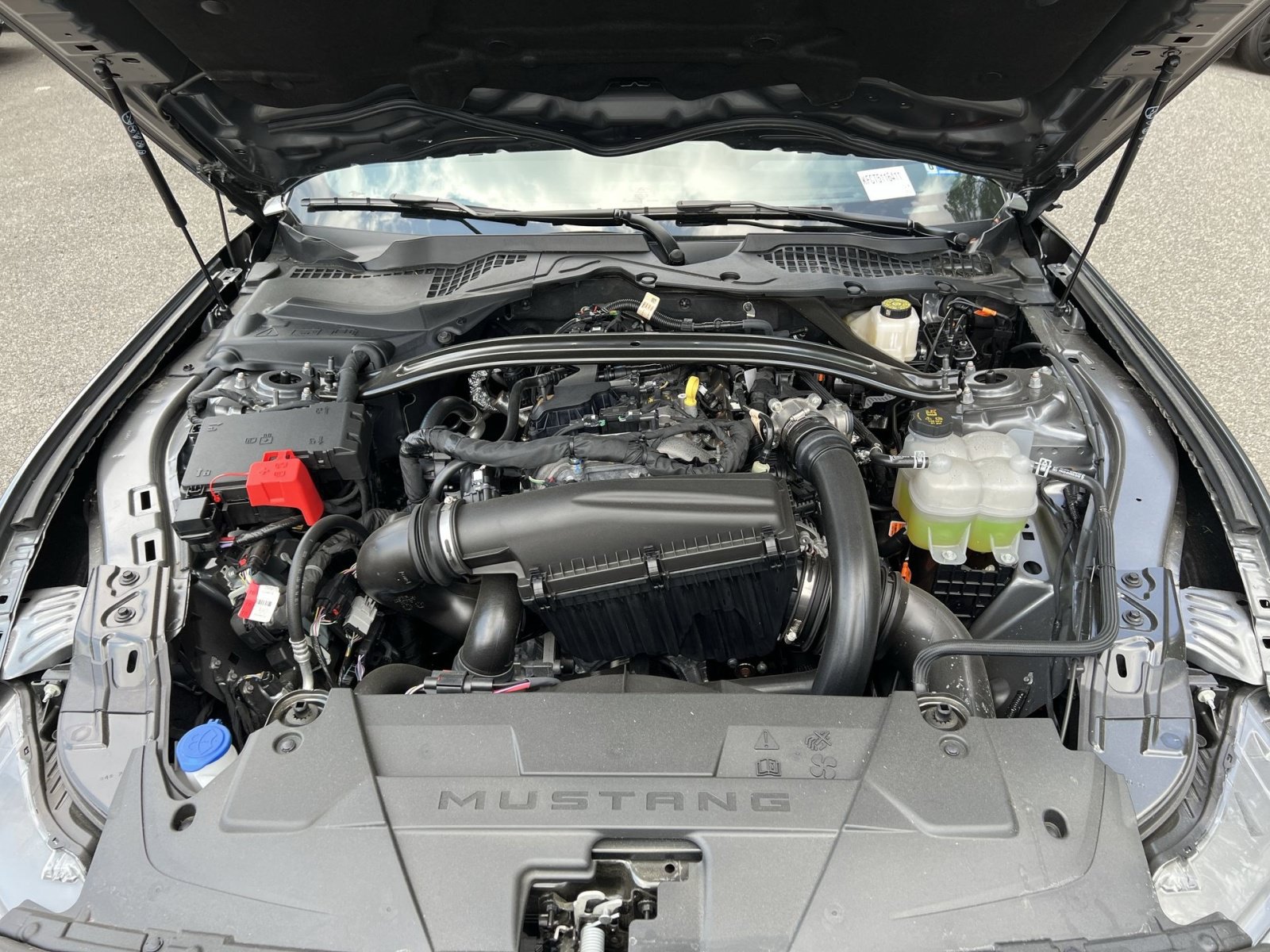 New 2026 Ford Mustang Premium w/ Mustang Nite Pony Package RWD image 26