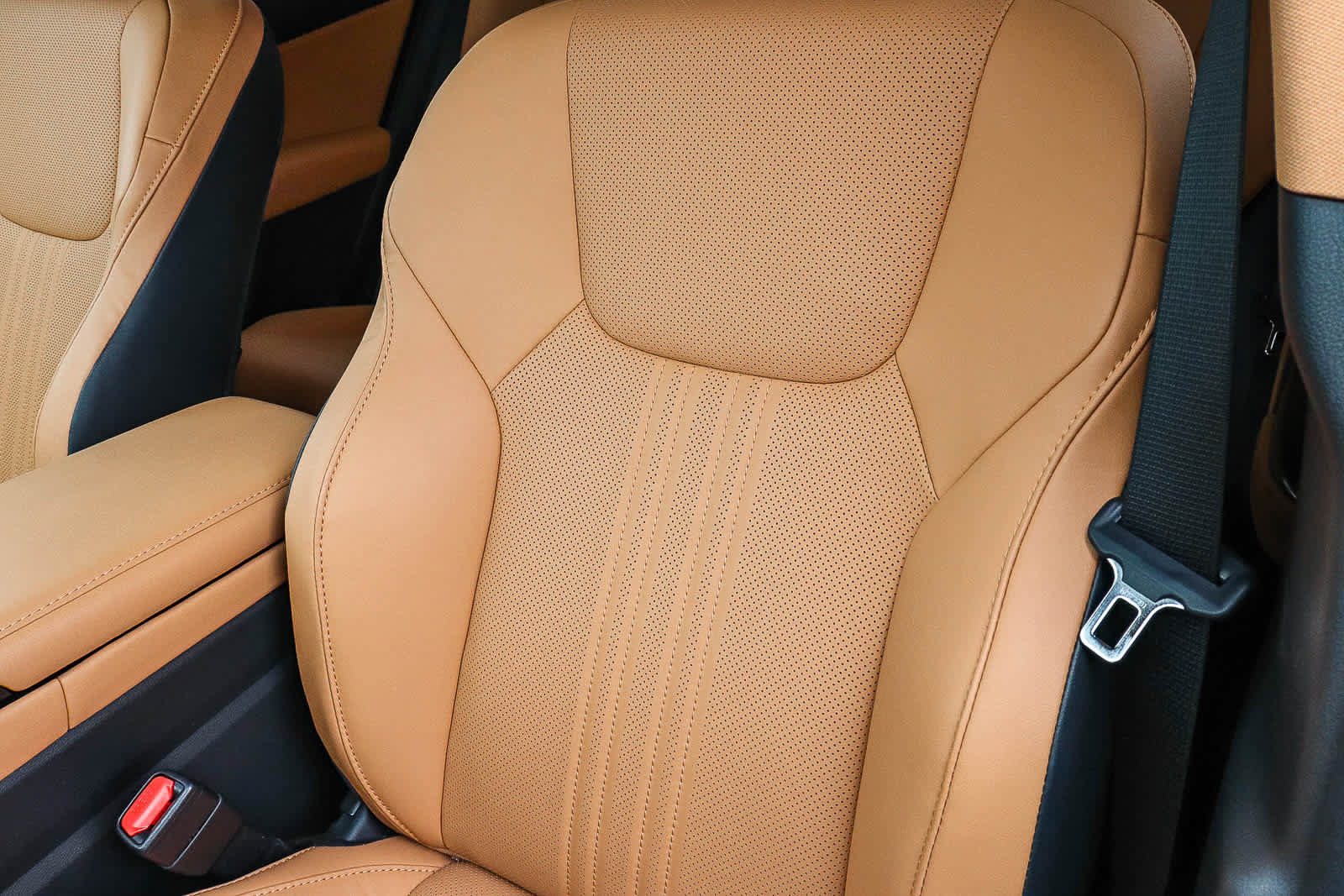 Used 2024 Lexus NX 350 AWD w/ Cold Area Package image 26