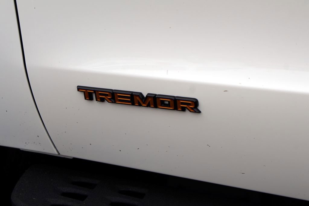 Used 2025 Ford Expedition Tremor AWD/4WD image 18