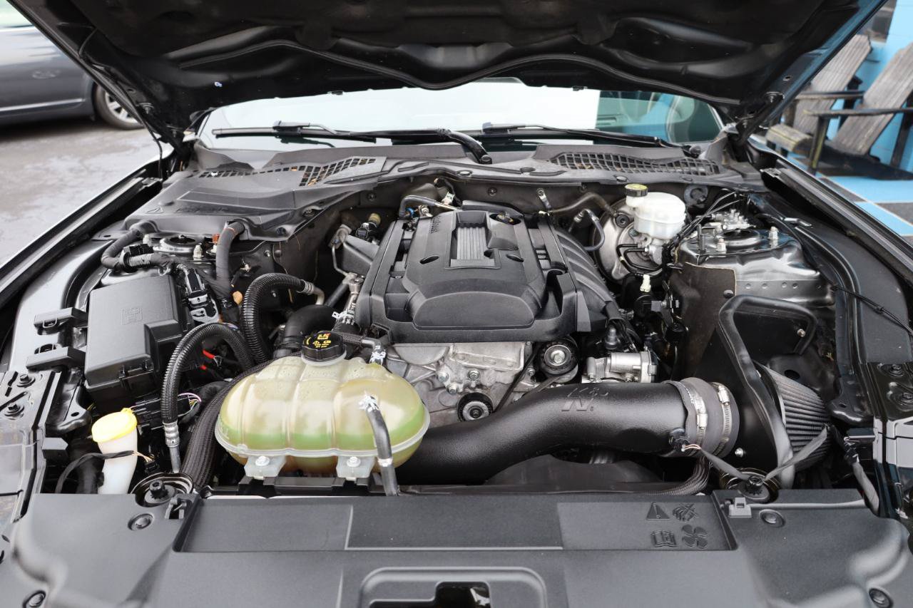 Used 2019 Ford Mustang Premium w/ Equipment Group 201A RWD image 15