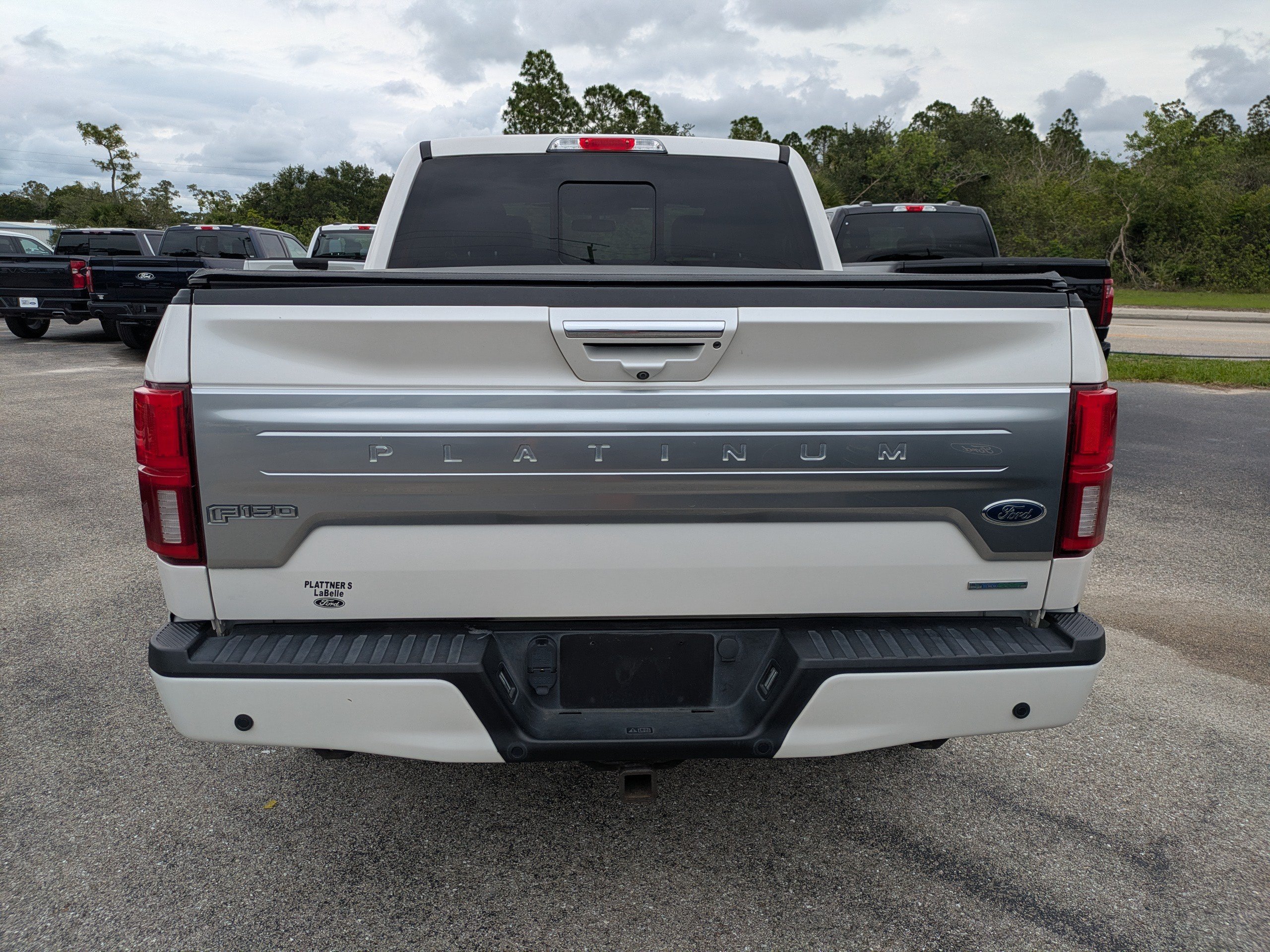 Used 2019 Ford F150 Platinum w/ Equipment Group 701A Luxury AWD/4WD image 5