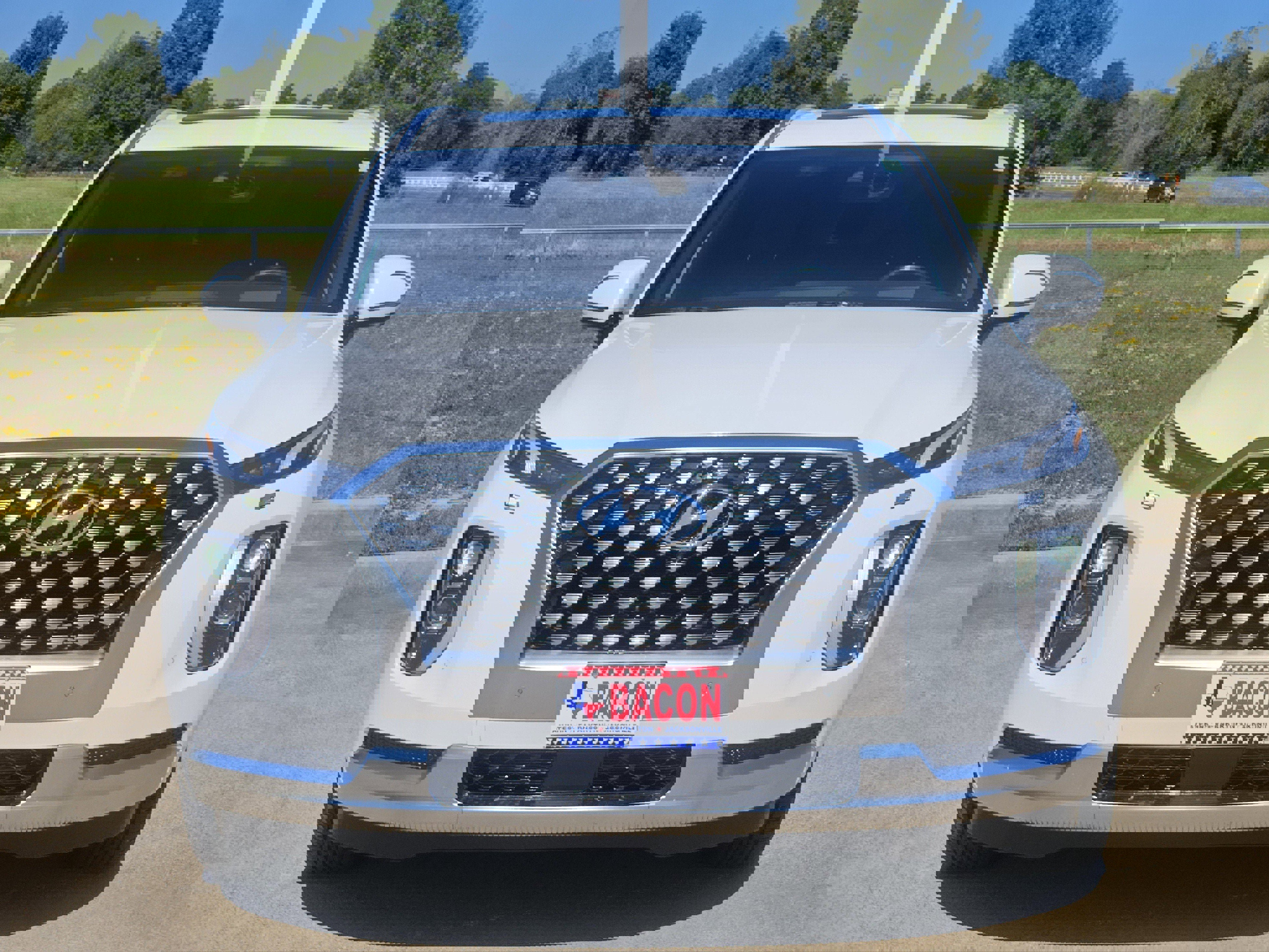 Used 2021 Hyundai Palisade Calligraphy image 2