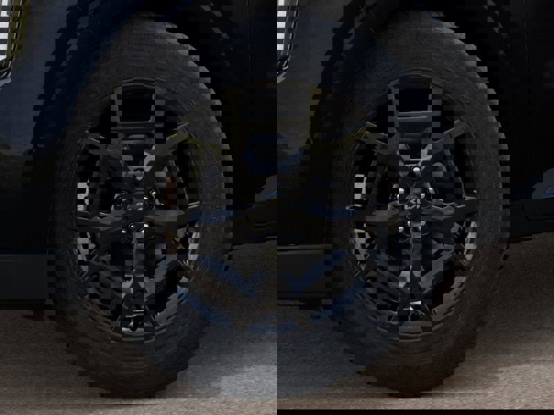 New 2026 Kia Carnival SX image 9