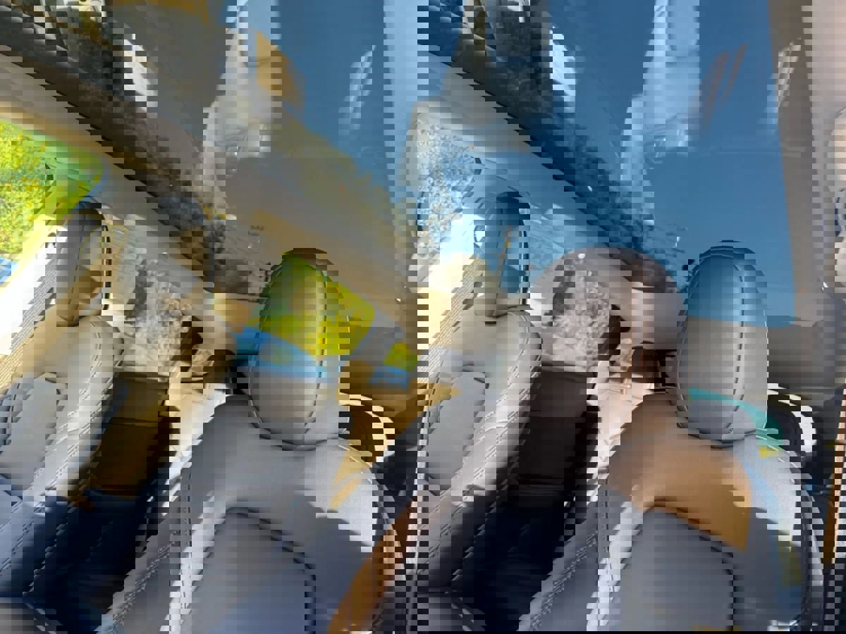 Used 2025 Tesla Model Y Long Range image 10