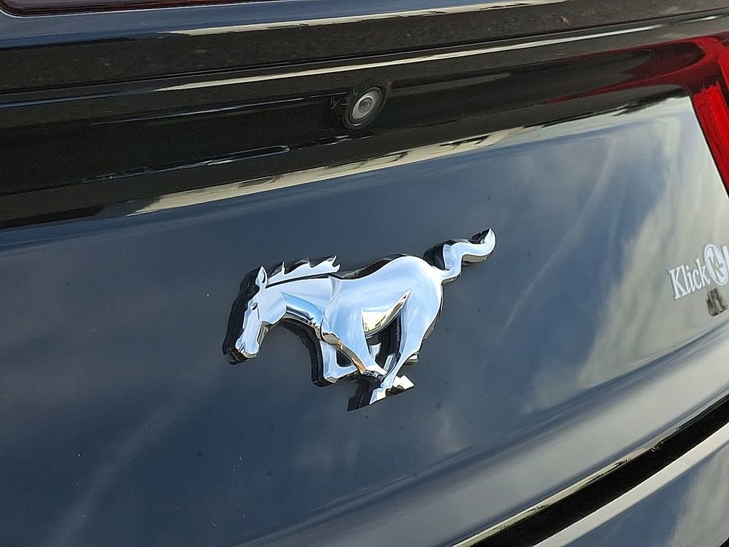 Used 2015 Ford Mustang Premium w/ Equipment Group 201A image 30