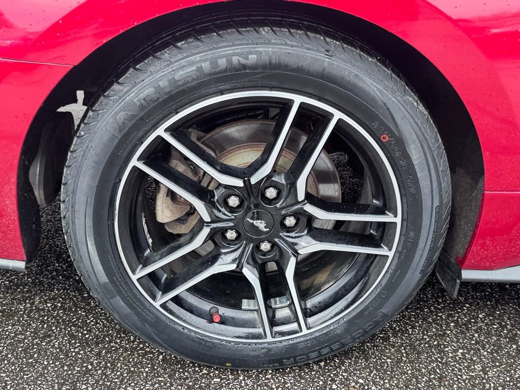 Certified 2021 Ford Mustang EcoBoost w/ Equipment Group 101A image 37