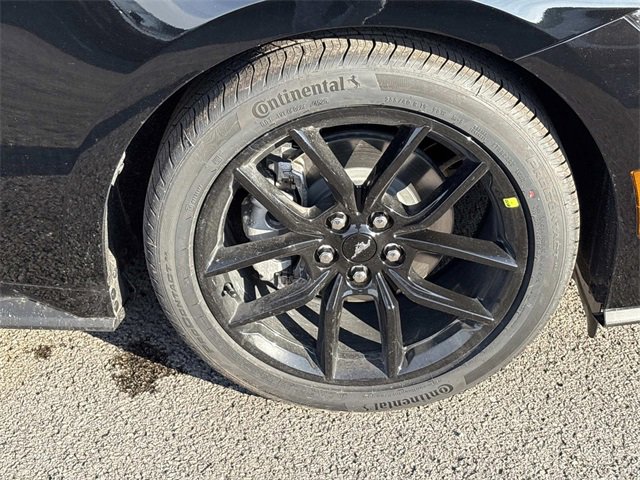 New 2026 Ford Mustang Coupe w/ Mustang Nite Pony Package image 9