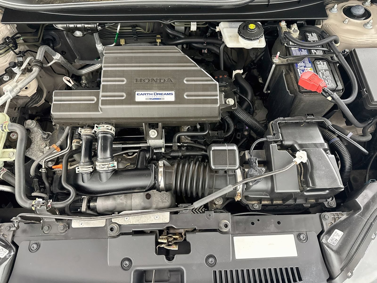 Used 2019 Honda CR-V EX-L image 10
