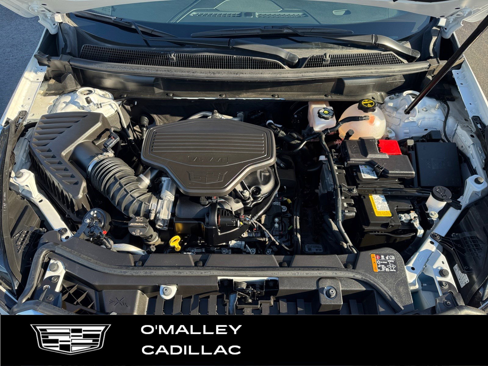 Certified 2025 Cadillac XT5 Premium Luxury image 25