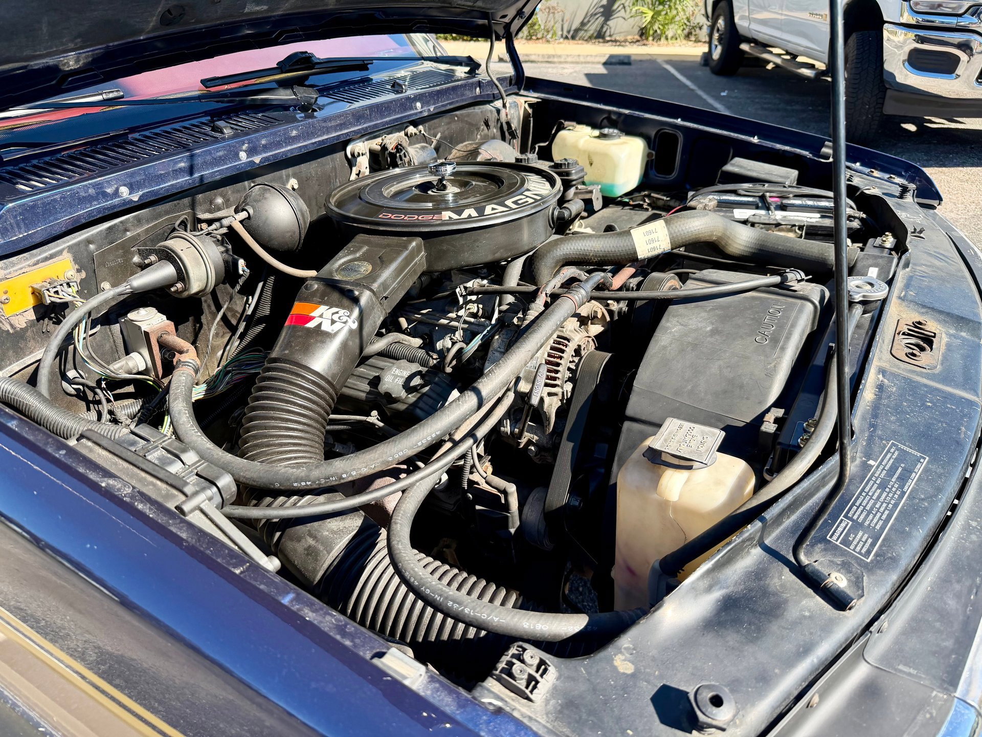 Used 1993 Dodge Dakota 2WD Club Cab image 57