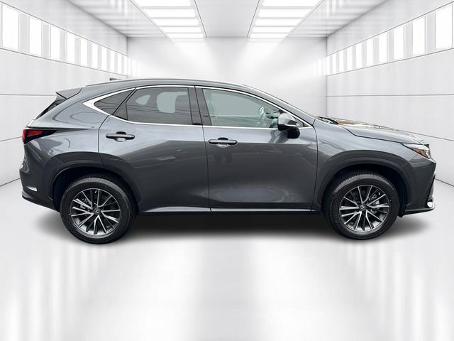 Certified 2023 Lexus NX 250 AWD image 4