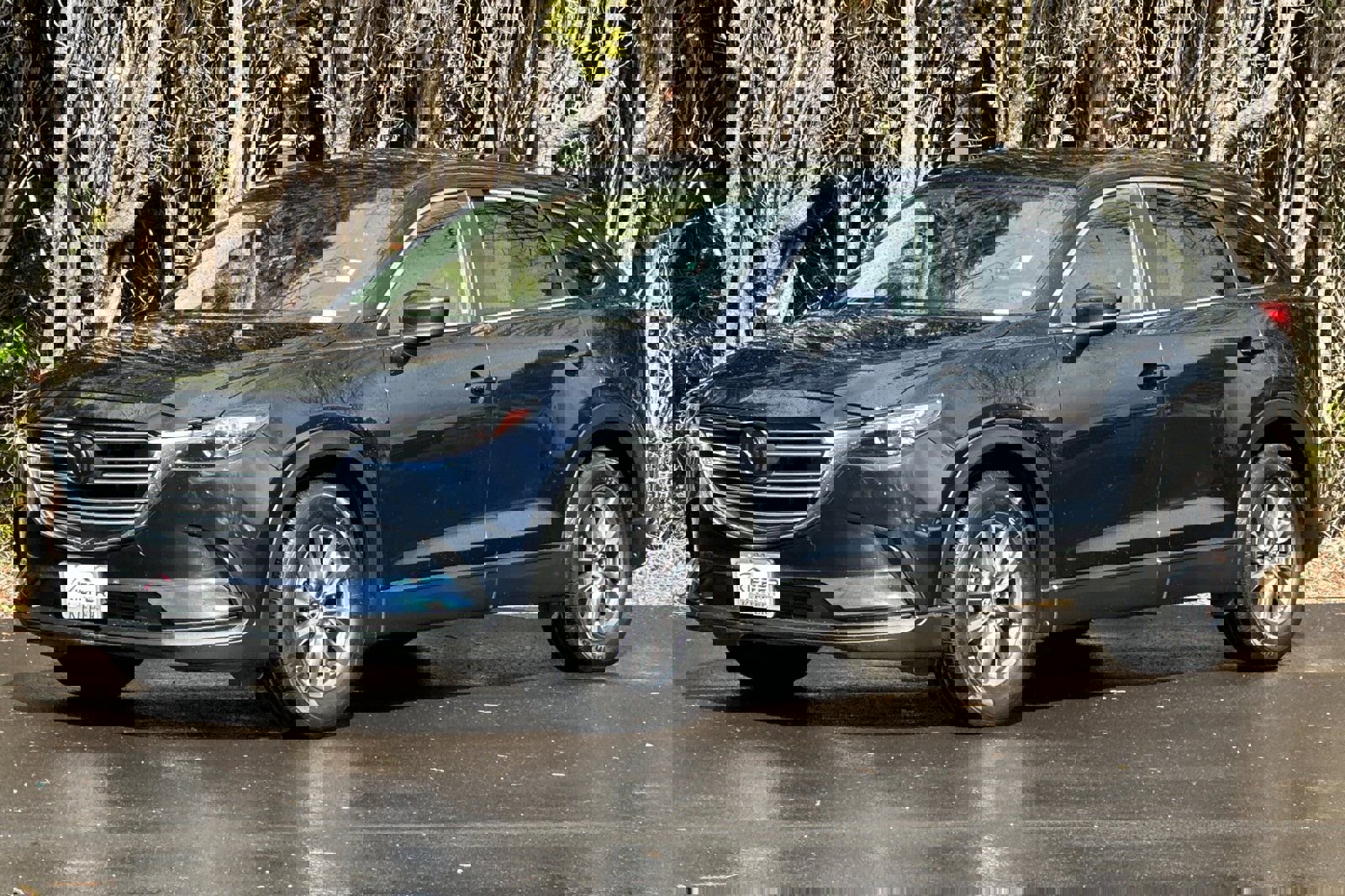 Used 2018 MAZDA CX-9 Sport image 8