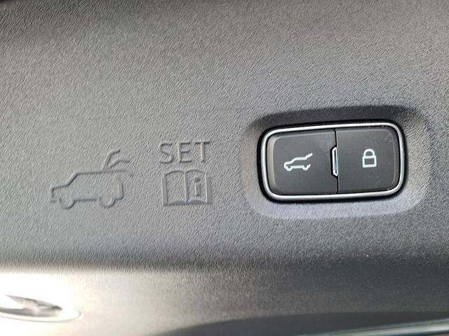 New 2025 Ford Expedition Tremor image 11