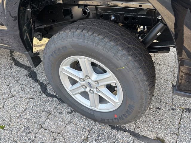 New 2025 Ford F150 XLT w/ Equipment Group 301A Standard image 7