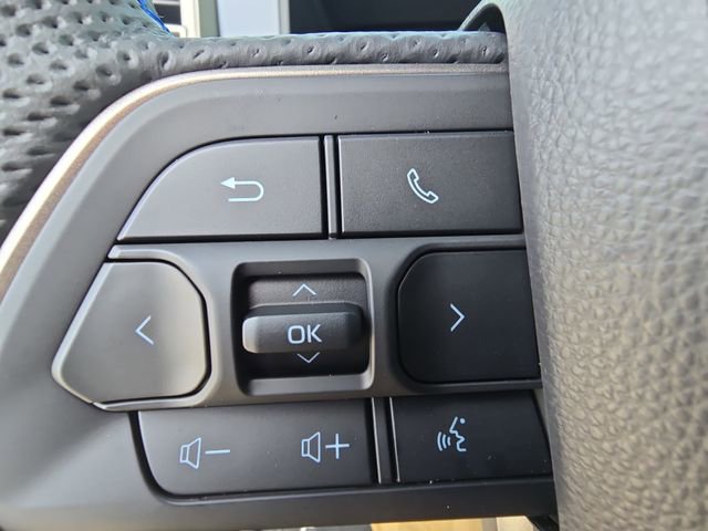 New 2026 Toyota Tundra Platinum image 16