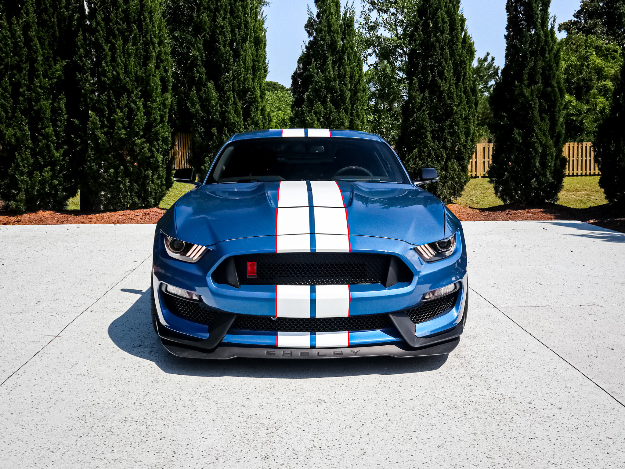 Used 2020 Ford Mustang Shelby GT350R w/ GT350R Equipment Group 920A RWD image 3