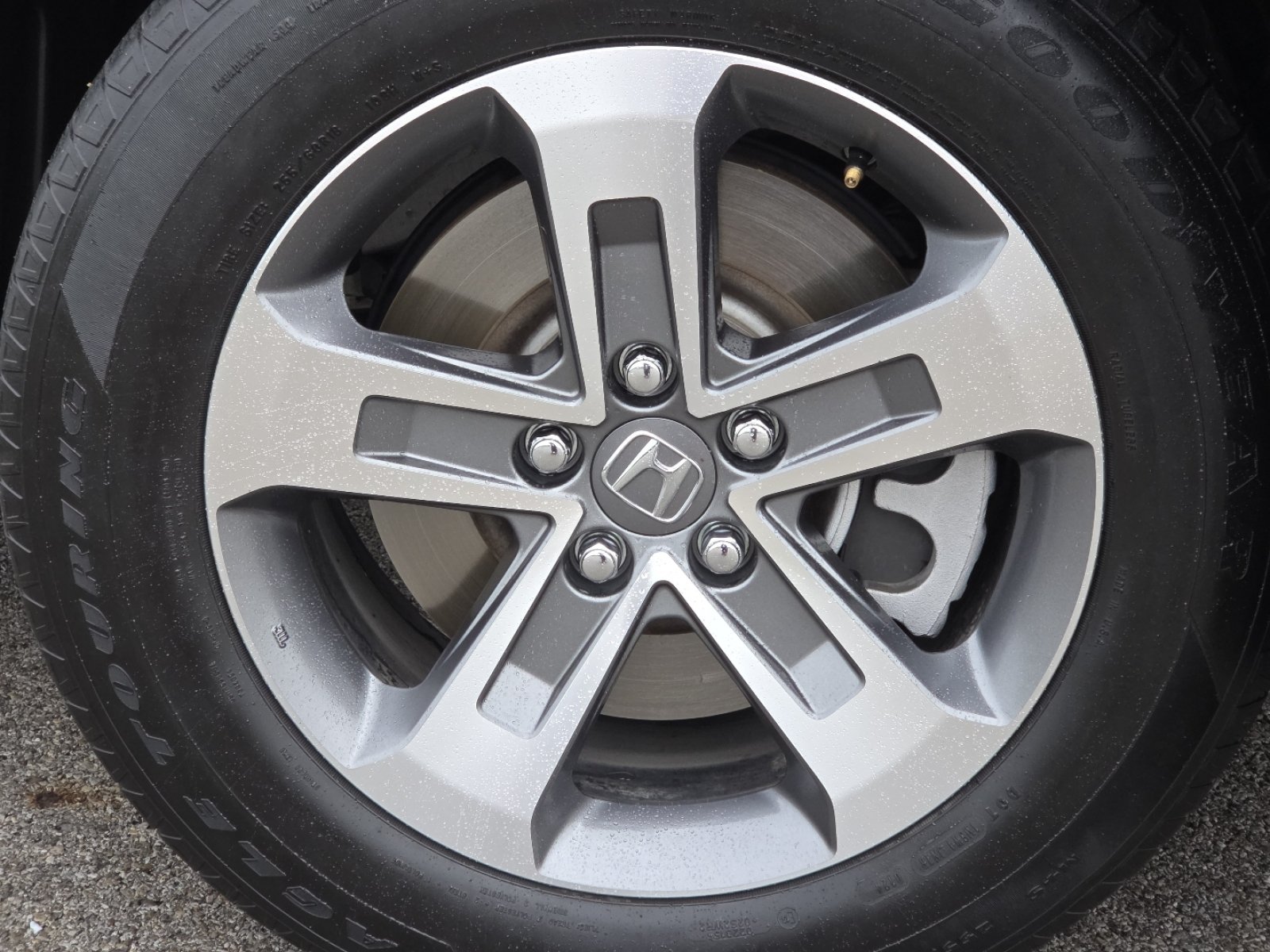 Used 2024 Honda Pilot EX-L image 10