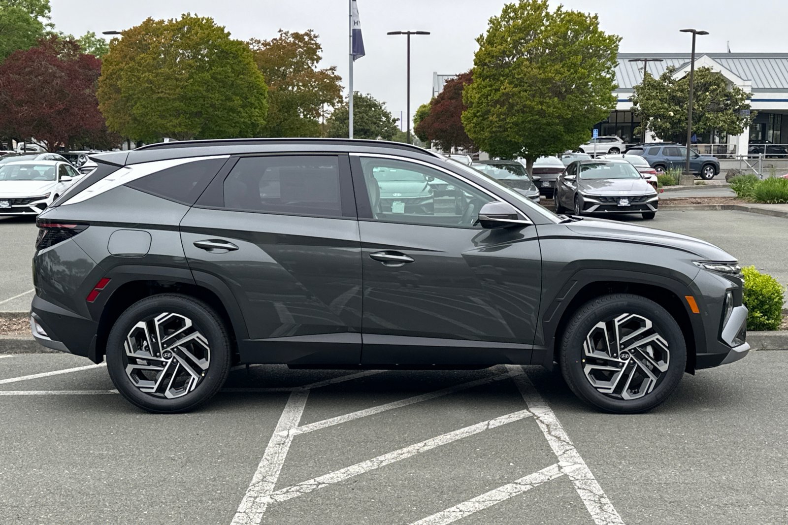New 2026 Hyundai Tucson Limited AWD/4WD image 3