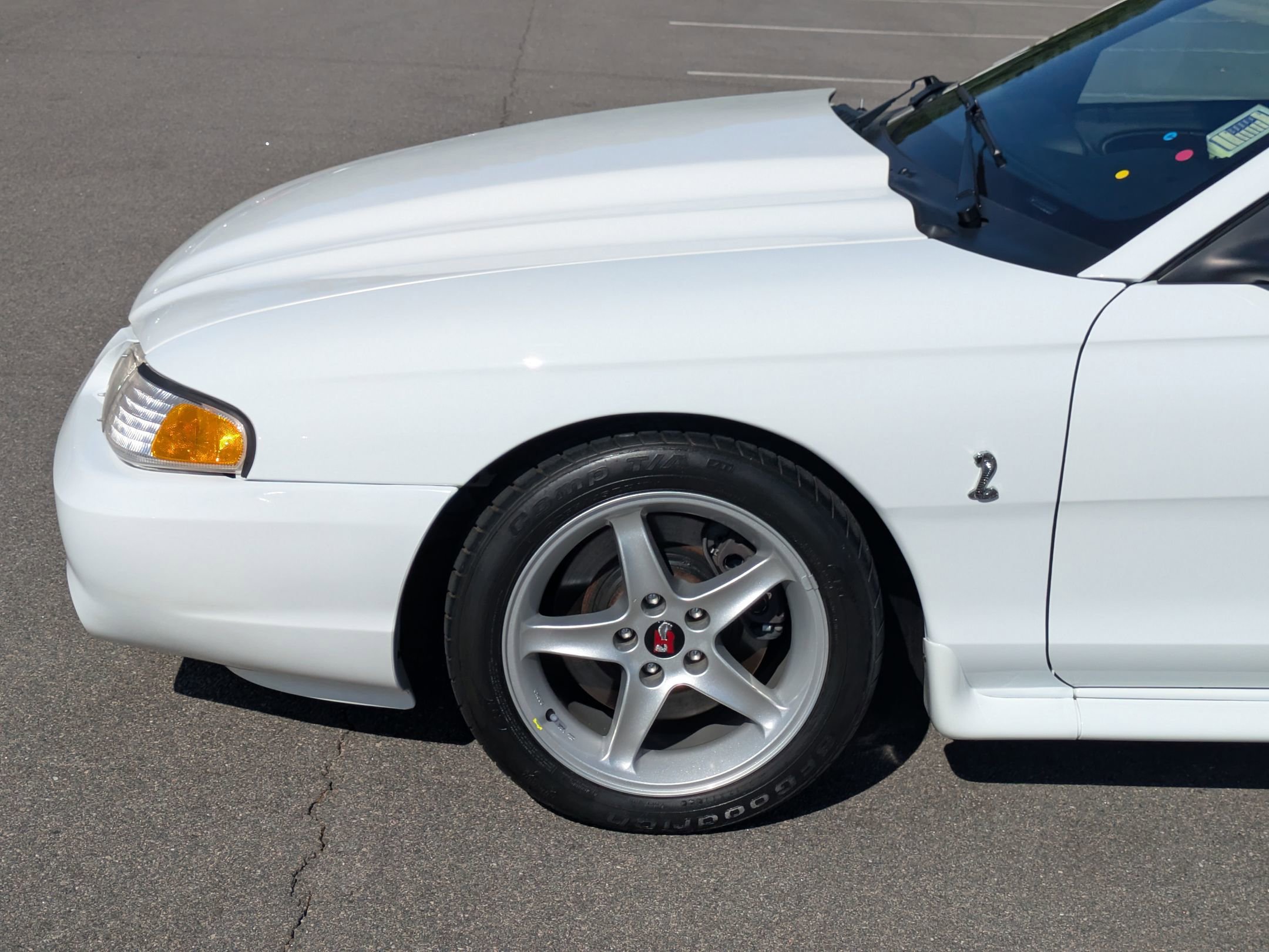 Used 1995 Ford Mustang Cobra R image 11
