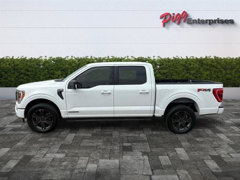 Used 2023 Ford F150 XLT w/ Equipment Group 302A High AWD/4WD image 3