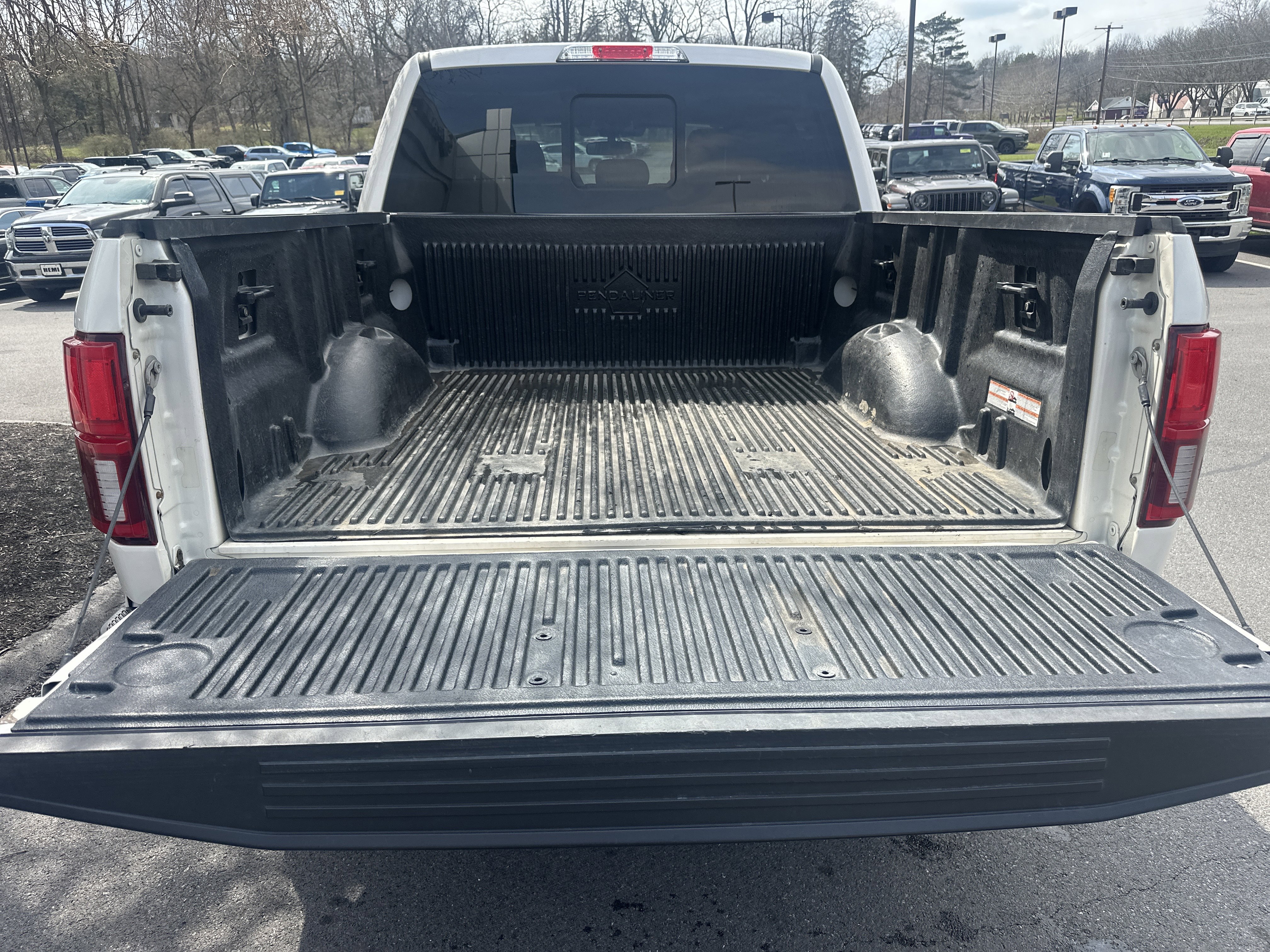 Used 2019 Ford F150 Platinum image 5