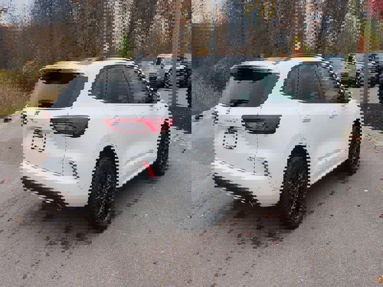 Used 2024 Ford Escape ST-Line Elite w/ Premium Technology Package image 8