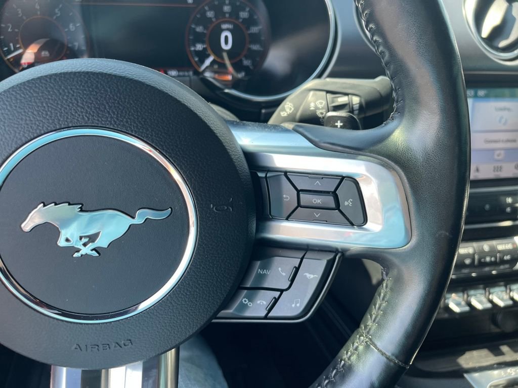 Used 2019 Ford Mustang GT Premium w/ Equipment Group 401A image 12