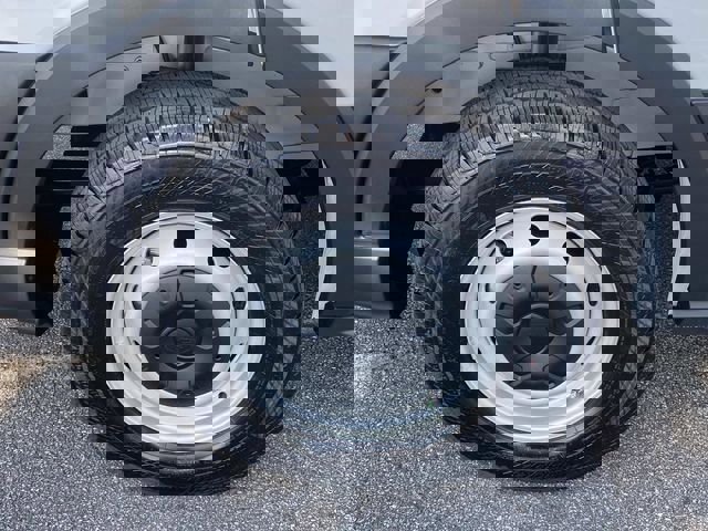 Used 2025 Ford Transit 250 Low Roof w/ Load Area Protection Package RWD image 11