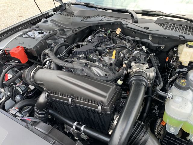 New 2025 Ford Mustang Premium image 10