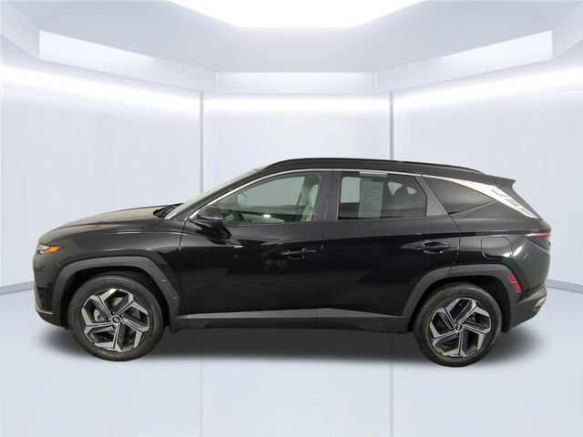 Used 2024 Hyundai Tucson SEL AWD/4WD image 14