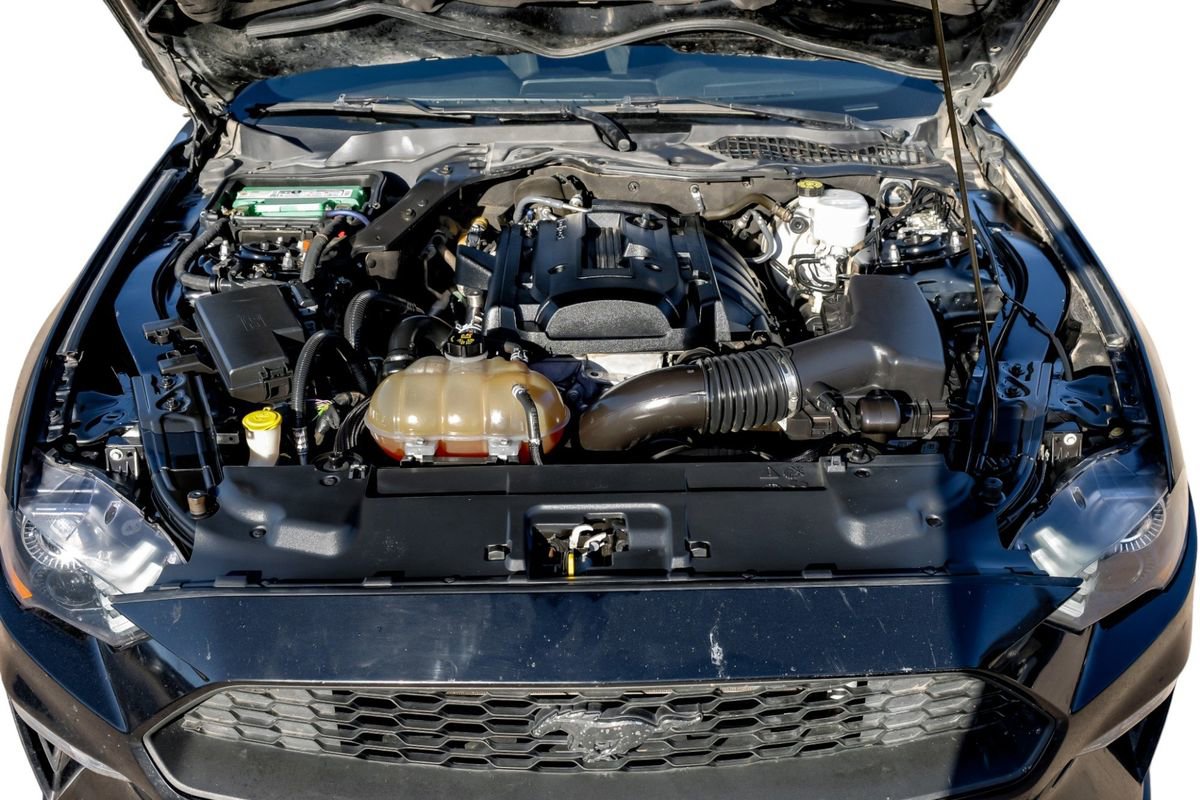 Used 2019 Ford Mustang Coupe image 45