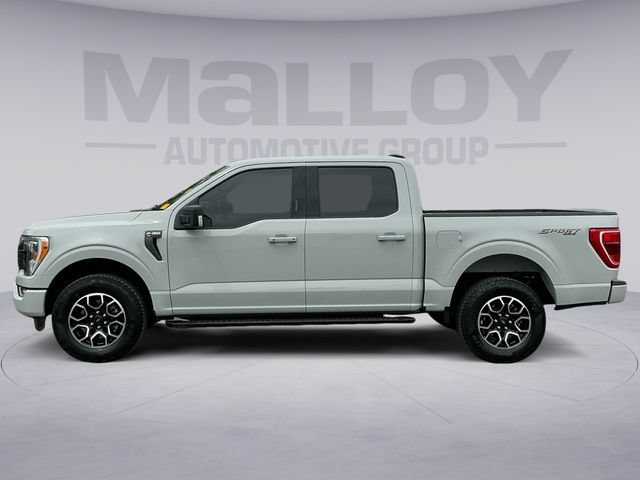 Used 2023 Ford F150 XLT w/ Equipment Group 302A High AWD/4WD image 2