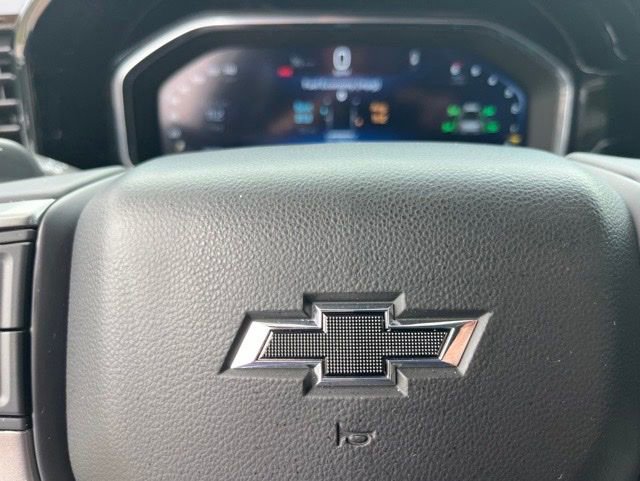Used 2025 Chevrolet Silverado 1500 LT Trail Boss w/ Convenience Package II AWD/4WD image 33