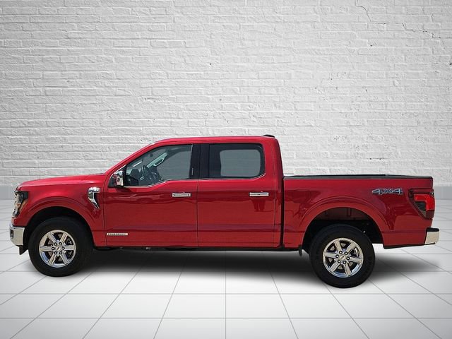 Used 2024 Ford F150 XLT w/ Equipment Group 302A MID AWD/4WD image 2