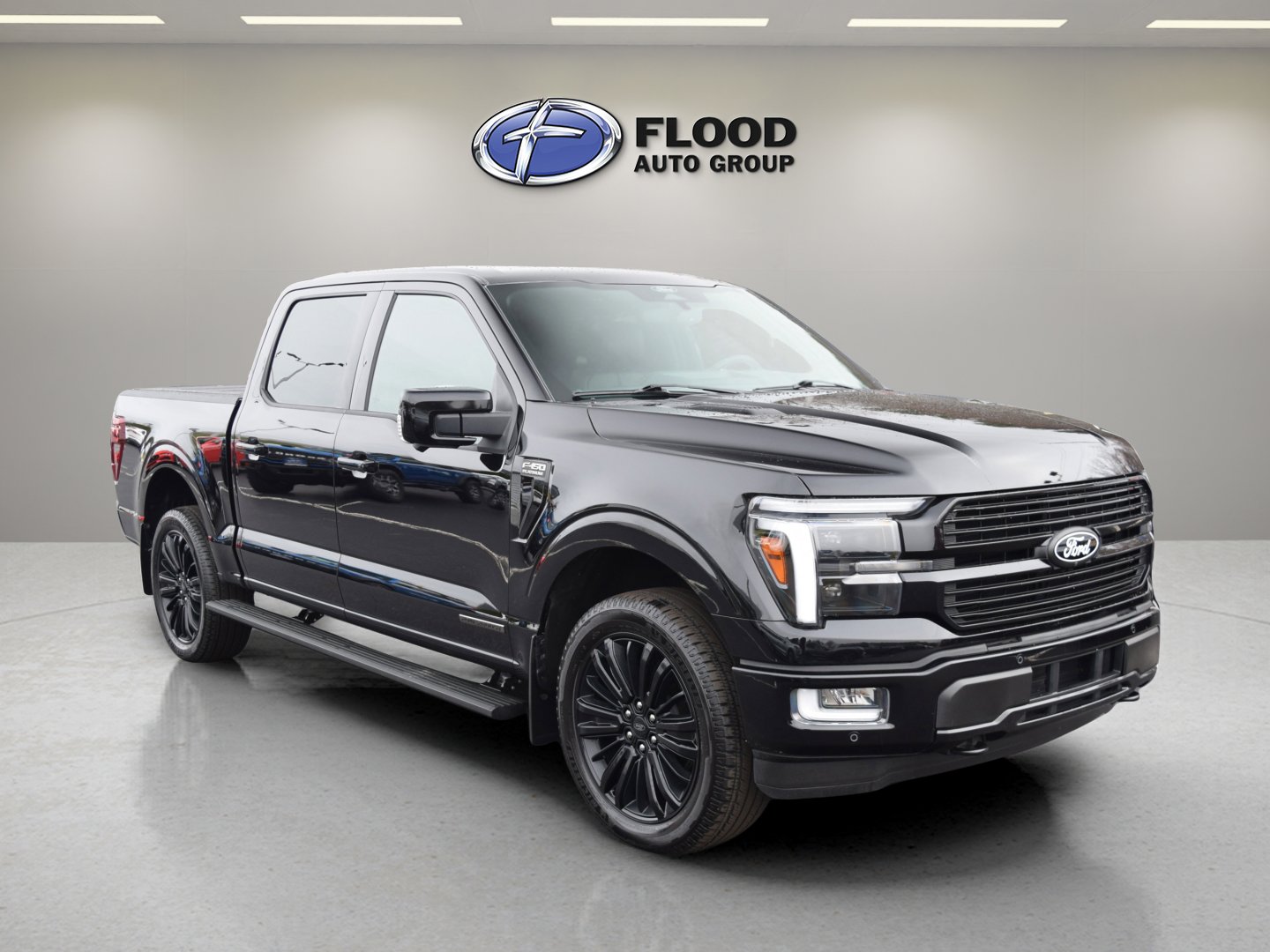 Used 2025 Ford F150 Platinum w/ Equipment Group 702A High image 1