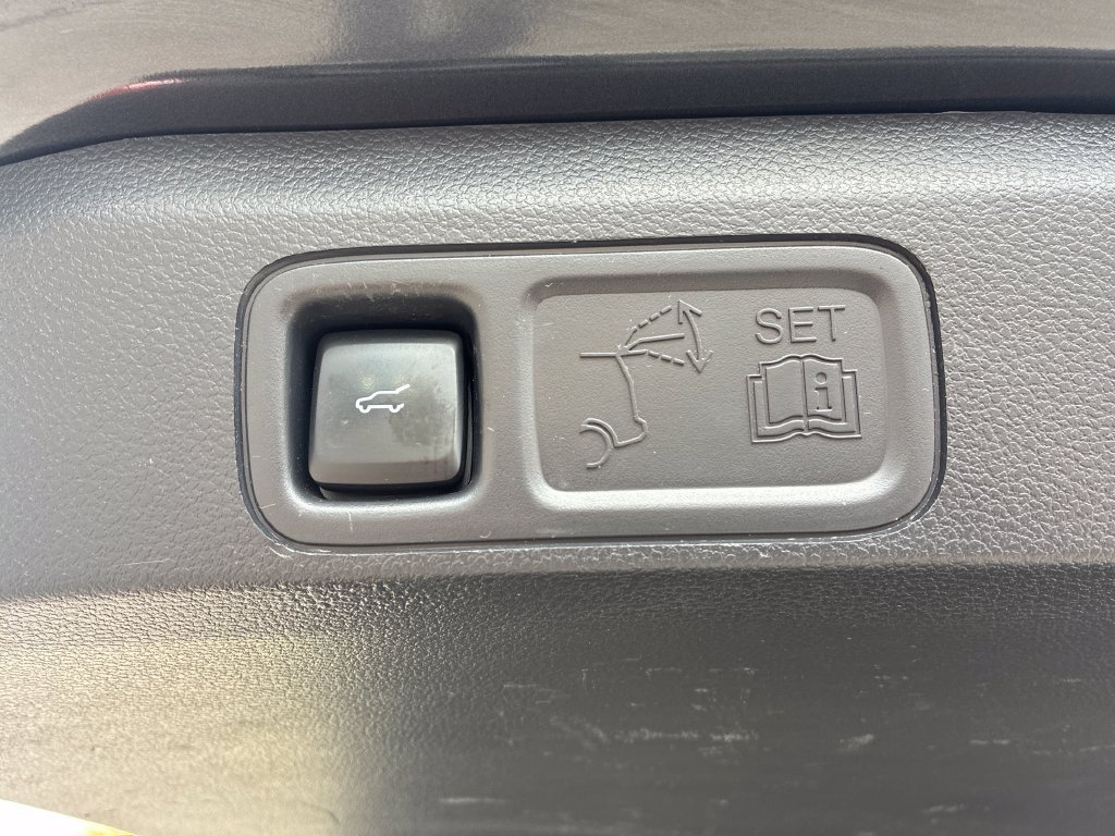 Used 2024 Ford Expedition XLT AWD/4WD image 44