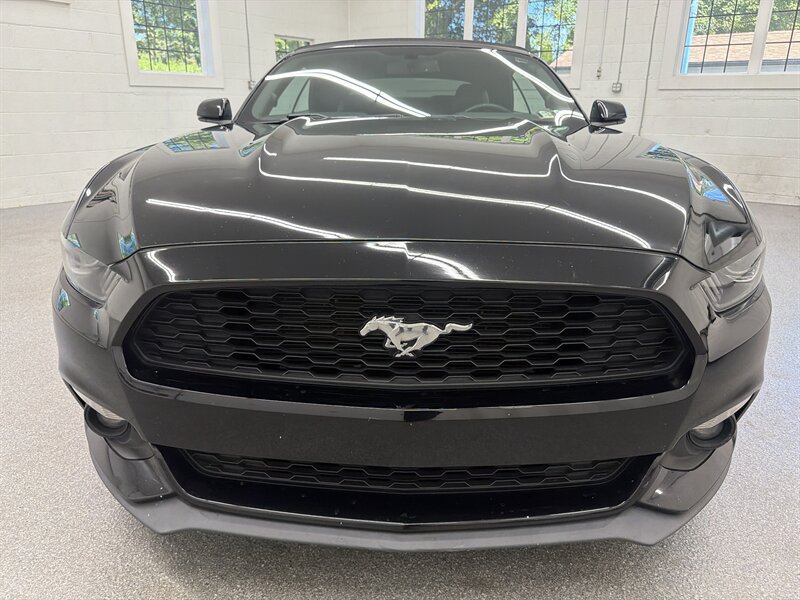 Used 2016 Ford Mustang Premium w/ Ecoboost Performance Package RWD image 2