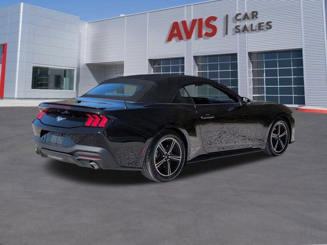 Used 2024 Ford Mustang Premium image 6