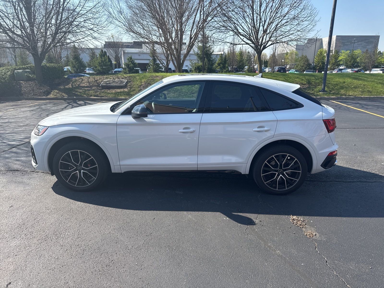 Used 2023 Audi SQ5 Premium Plus w/ Premium Plus Package image 8