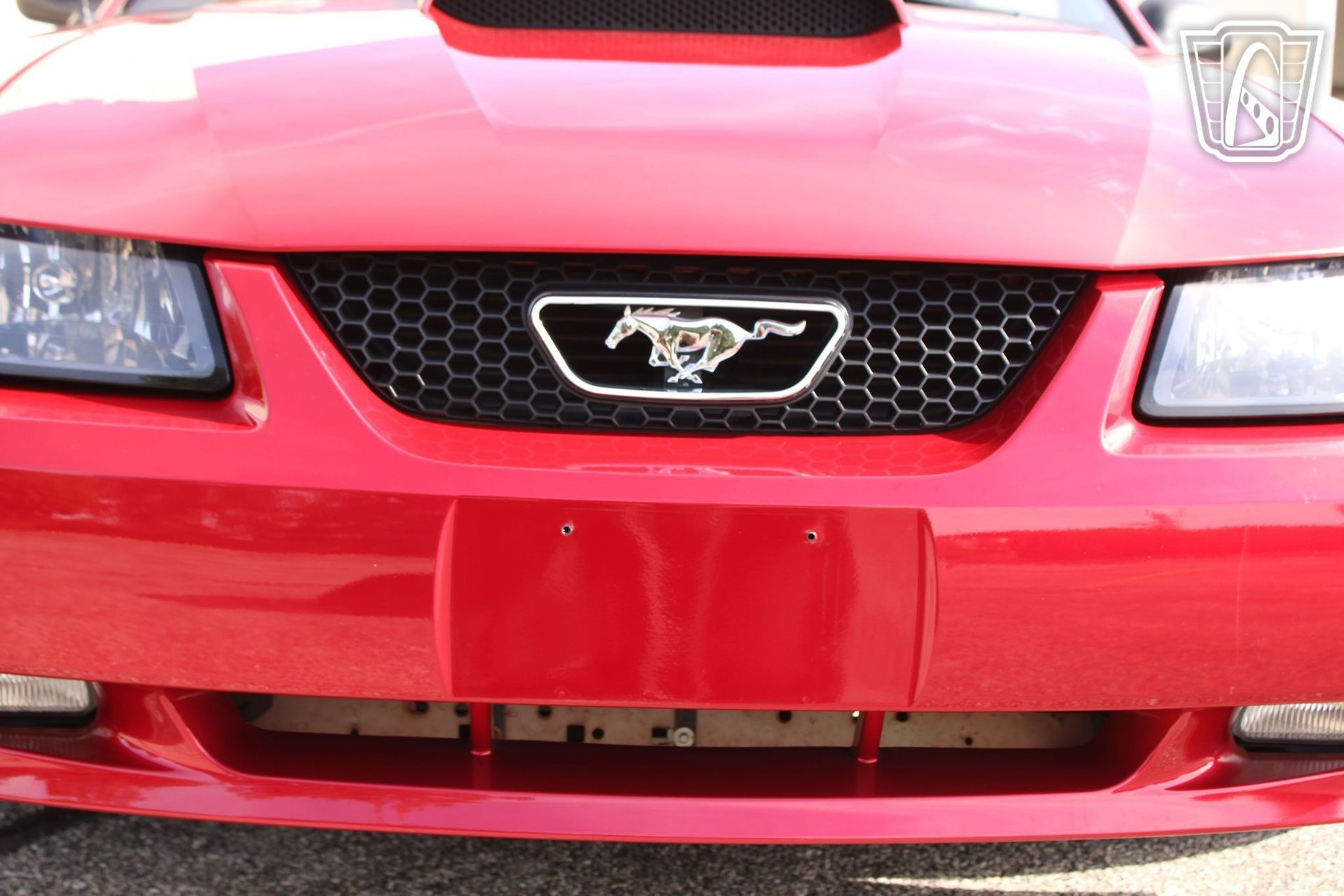 Used 2001 Ford Mustang Bullitt image 30